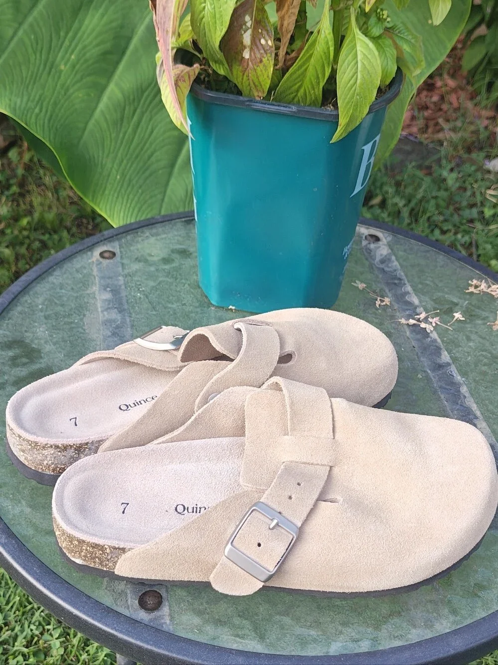 Quince Beige Suede Slip-On Clogs with Buckle - Picture 3 of 7
